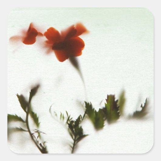 Endlich Frühling! スクエアシール (正面)