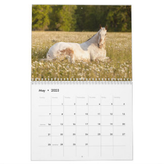 Endo The Blind 2023カレンダー カレンダー