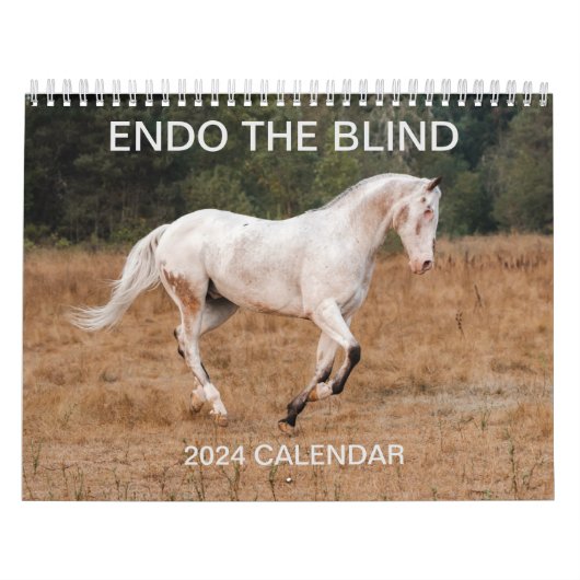 ENDO THE BLIND - 2024カレンダー カレンダー (カバー)