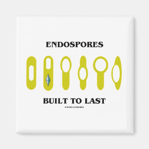 Endosporesは最後(細菌の態度)に造りました マグネット