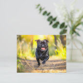 Energetic Pug Running Through Forest ポストカード (スタンド正面)