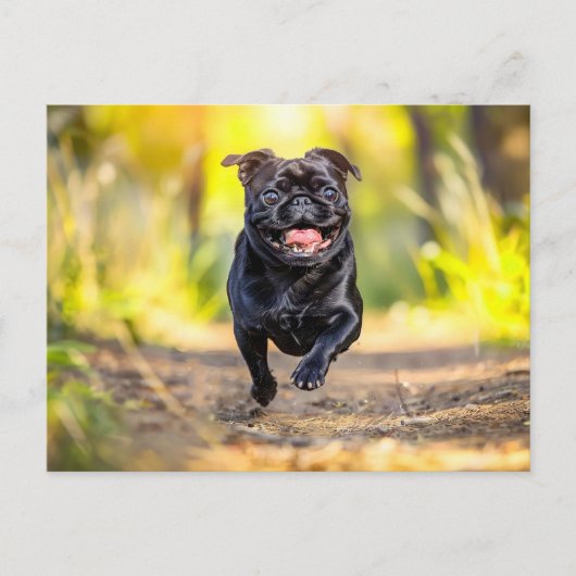Energetic Pug Running Through Forest ポストカード (正面)