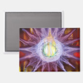 Energy of Star Magnet マグネット (正面/裏面)