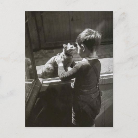 Enfant et son chat - Willy Ronis ポストカード (正面)