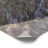 Enfield Glen、Robert H Treman州パーク、NY ポスター (角)