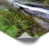 Enfield Glen、Robert H Treman州パーク、NY ポスター (角)