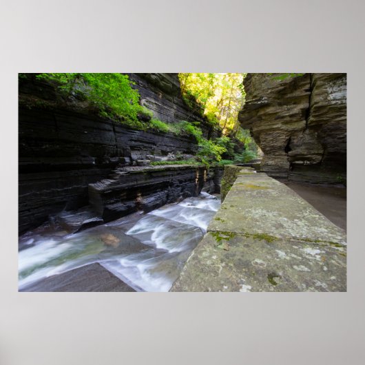 Enfield Glen、Robert H Treman州パーク、NY ポスター (正面)