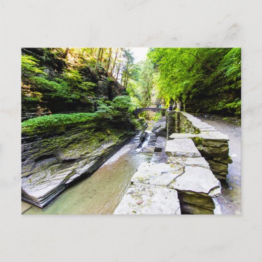 Enfield Glen、Robert H Treman州パーク、NY ポストカード (正面)