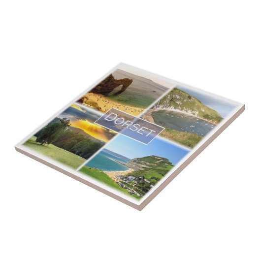 ENG037 DORSET,イギリス,ヨーロッパ, タイル (側面)