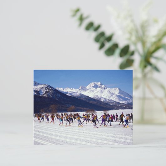 Engadinスキーマラソン、シルバプラナ、スイスワイン ポストカード (スタンド正面)
