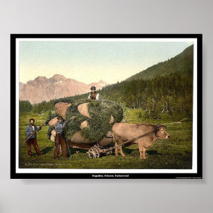 Engadine、Grisons、スイス ポスター