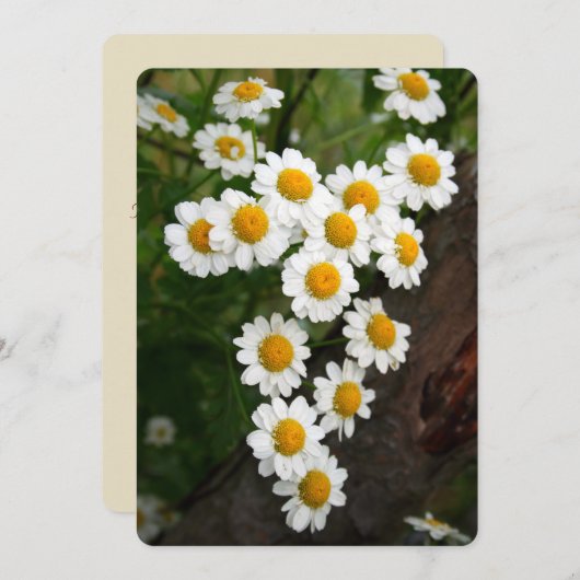 Engagement Bridal shower Invitations 招待状 (正面/裏面)