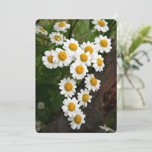 Engagement Bridal shower Invitations 招待状 (スタンド正面)