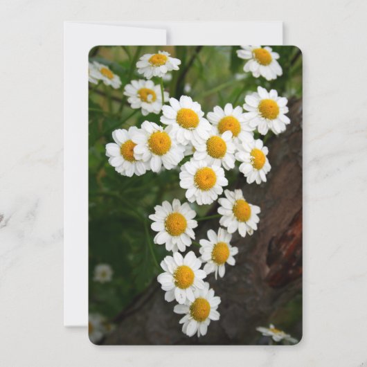 Engagement Bridal shower Invitations 招待状 (正面)