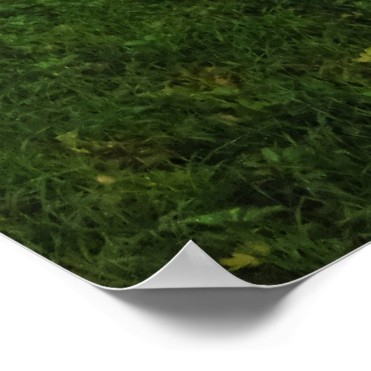 English Autumn Countryside - Personalised ポスター (角)