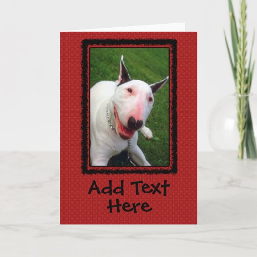 English Bull Terrier Custom Greeting Card カード (正面)