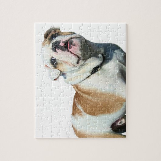English bulldog ジグソーパズル (縦)