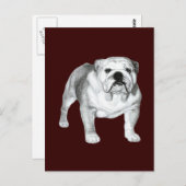 English Bulldog – 鉛筆スケッチ ポストカード (正面/裏面)