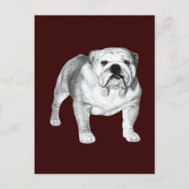 English Bulldog – 鉛筆スケッチ ポストカード