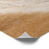 English Bulldog （6歳） ポスター (角)