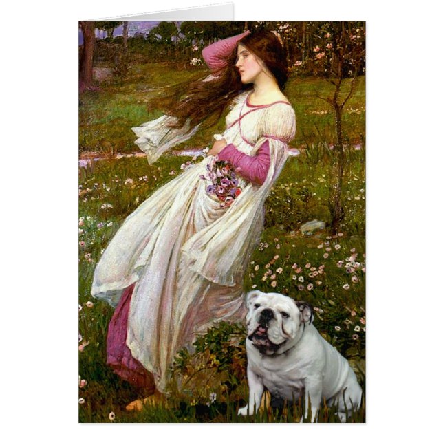 English Bulldog 9 – ウィンドフラワー (正面)