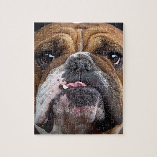 English Bulldog  Throw Pillow ジグソーパズル (縦)