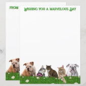 English Bulldogs and Cats Stationery (正面/裏面)