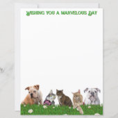 English Bulldogs and Cats Stationery (正面)