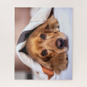 English Cocker Spaniel Dog ジグソーパズル (縦)