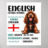 English Er Spaniel Origin Funny Er Spaniel Lover  ポスター (正面)