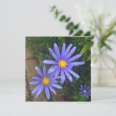 English Garden Noteカード シーズンカード (スタンド正面)