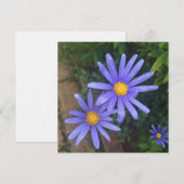 English Garden Noteカード シーズンカード (正面/裏面)