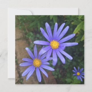 English Garden Noteカード シーズンカード