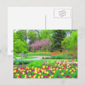 English Garden Tulip Timeはがき ポストカード (正面/裏面)