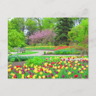 English Garden Tulip Timeはがき ポストカード