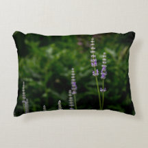 English Lavender