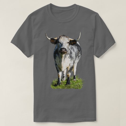 English Longhorn Cow Tシャツ (デザイン正面)