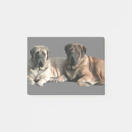 English Mastiff Freunde ポストイット (正面)