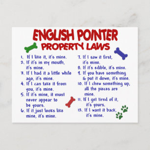 ENGLISH POINTERプロパティの法則2 ポストカード