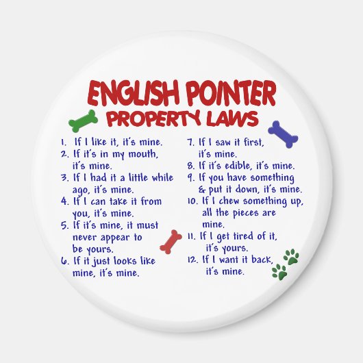 ENGLISH POINTERプロパティの法則2 マグネット (正面)