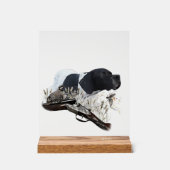 English Pointer  アクリルサイン (正面)