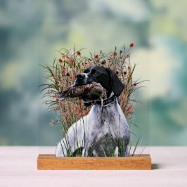 English Pointer アクリルサイン
