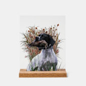 English Pointer  アクリルサイン (正面)