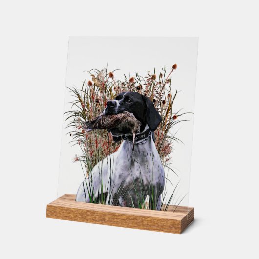 English Pointer  アクリルサイン (傾斜)