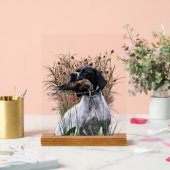 English Pointer  アクリルサイン (ウェディング)