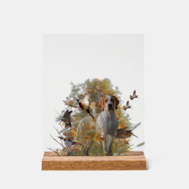 English Pointer アクリルサイン