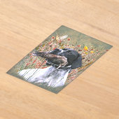 English pointer アクリル招待状 (レイダウン)