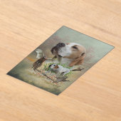 English Pointer  アクリル招待状 (レイダウン)