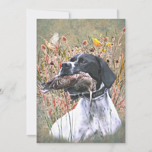 English pointer 招待状 (正面)