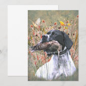 English pointer 招待状 (正面/裏面)